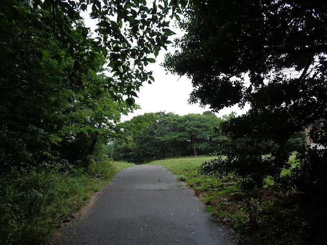 弥生の森　遊歩道