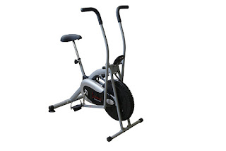 Sunny Health & Fitness SF-B2621 Cross Training Fan Bike, image, review features & specifications