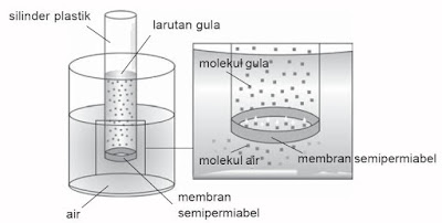 Dalam pelajaran Kimia terdapat bahan mengenai pengertian tekanan osmosis Tekanan Osmosis (Pengertian, Rumus, Proses Terjadi, dan Contohnya)