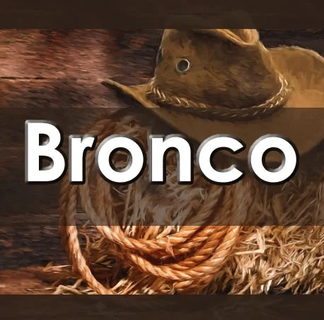 Bronco en Pachuca