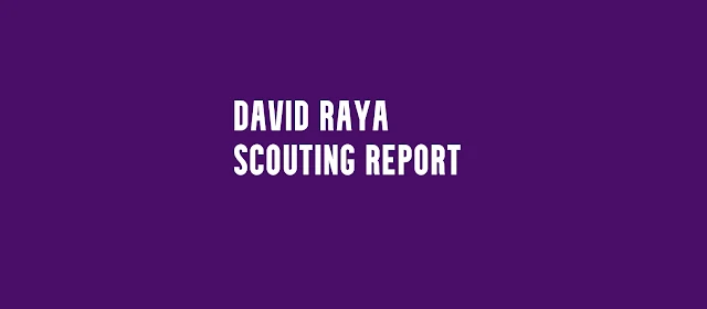 David Raya Scouting Report