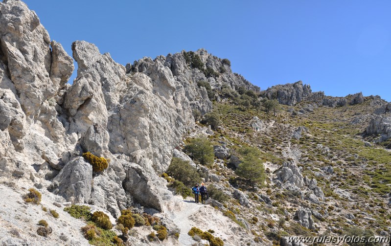 Trevenque - Cerro del Cocón - Cerro Gordo - Pico de la Carne