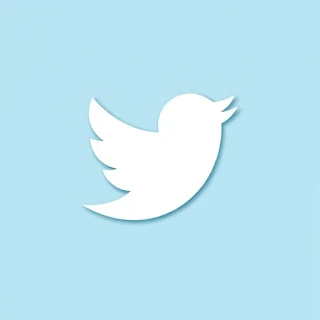 X (formerly Twitter)