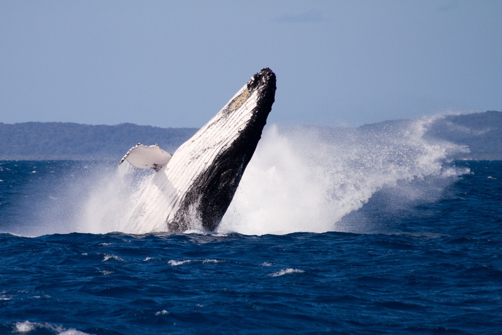 2011.09.26 at 15h12m10s Hervey Bay