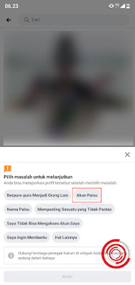 3. Kemudian pilih kategori laporan, yaitu Akun Palsu