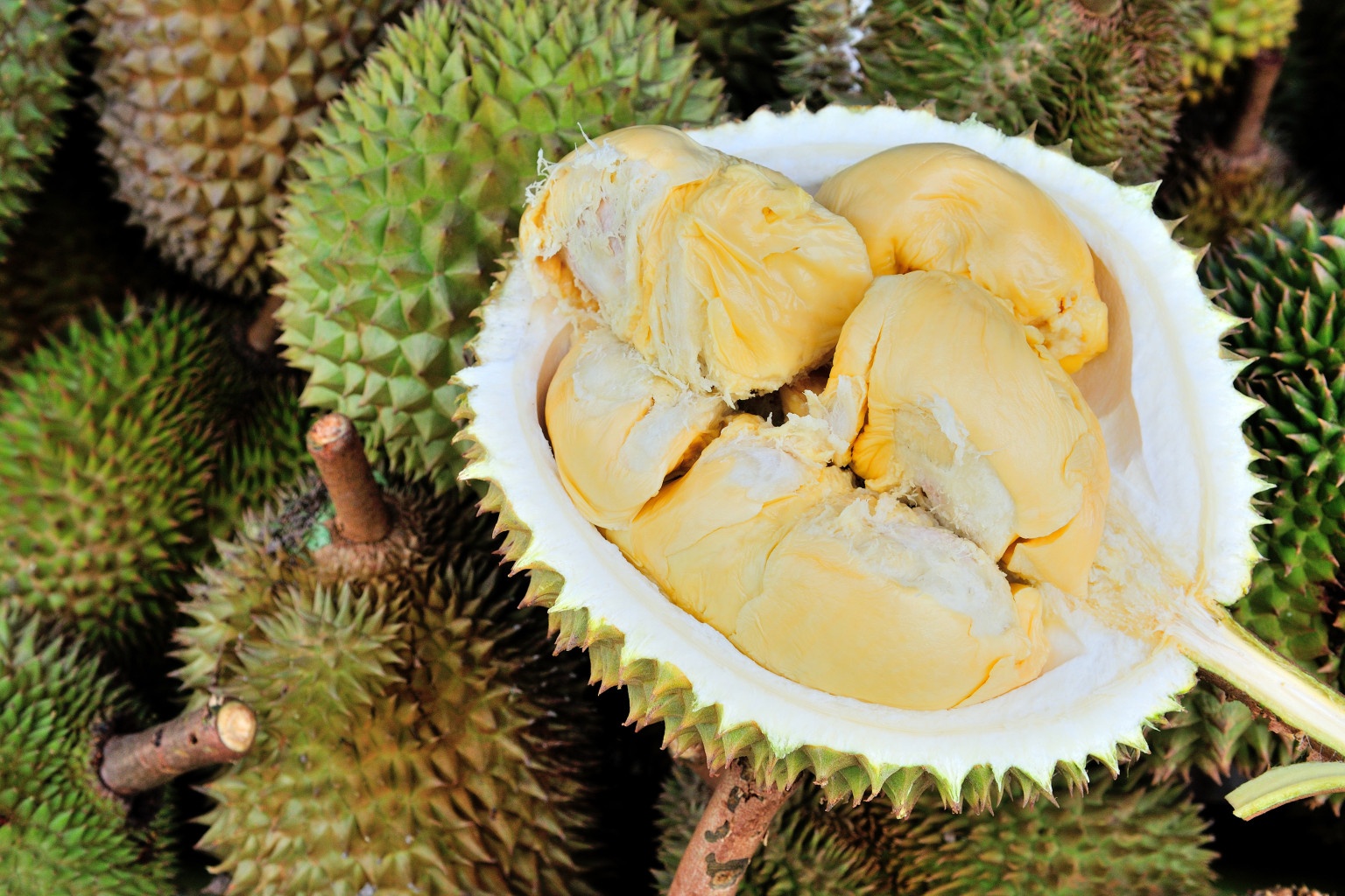 Seribu Manfaat Buah Durian Untuk Kesehatan Investigasi New Madiun