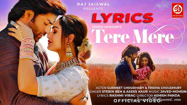 Tere Mere Song Lyrics | Javed-Mohsin | Stebin Ben, Asees Kaur | Rashmi Virag | Gurmeet Choudhary, Tridha choudhury