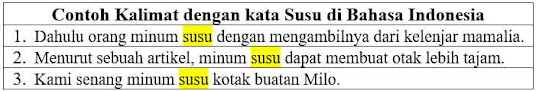 23 Contoh Kalimat Susu di Bahasa Indonesia dan Pengertiannya