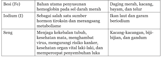 Berbagai Mineral yang Dibutuhkan Tubuh 1