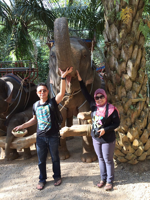 Krabi Thailand - Elephant Trekking