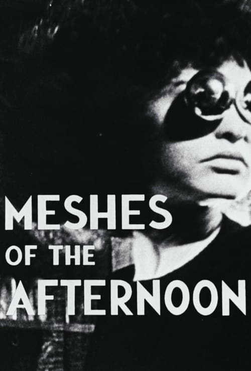 Meshes of the Afternoon 1943 Film Completo In Italiano Gratis