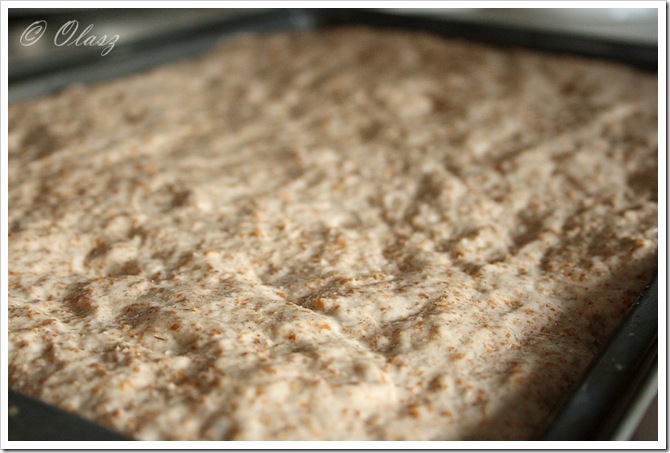 pizza pełnoziarnista wiejska/ sourdough wild yeast