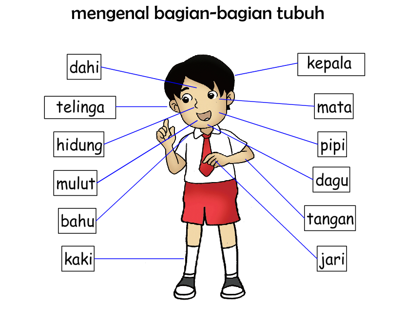 Contoh Gambar  Pemandangan Anak Tk Contoh II