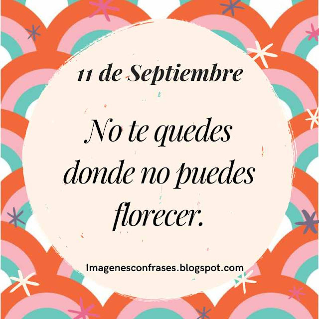 Frase Primaveral para un dia como hoy 11 de Septiembre