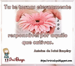 Lindo selo de 200 seguidores da Ani..