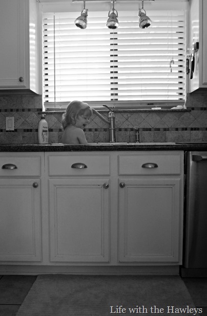 DSC_0184-2