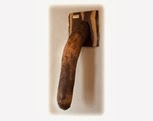 Penis-museum-elephant-4-631x473