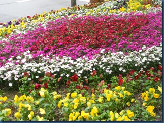 DSCN1256