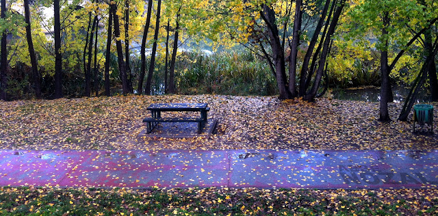 Ver pasar el otoño, 2015 Abbé Nozal