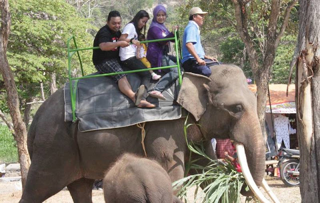 Kebun Binatang Waduk Gajah Mungkur @remajasenjautama