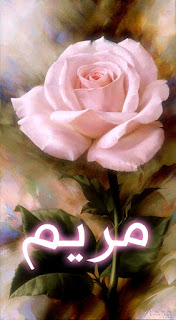 اسم مريم على صورة خلفية هاتف جميلة. خلفسة الهاتف تحتوى على وردة جميلة ومفرحة.