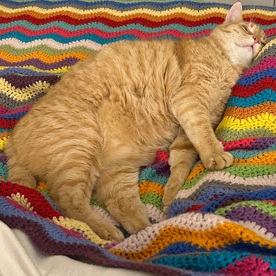 Charley, an orange tabby cat, sleeping on a hand crocheted ripple blanket made with brightly colored yarns.