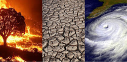 The image of the elements. From left to right: forest fire, hurricane, house fire.