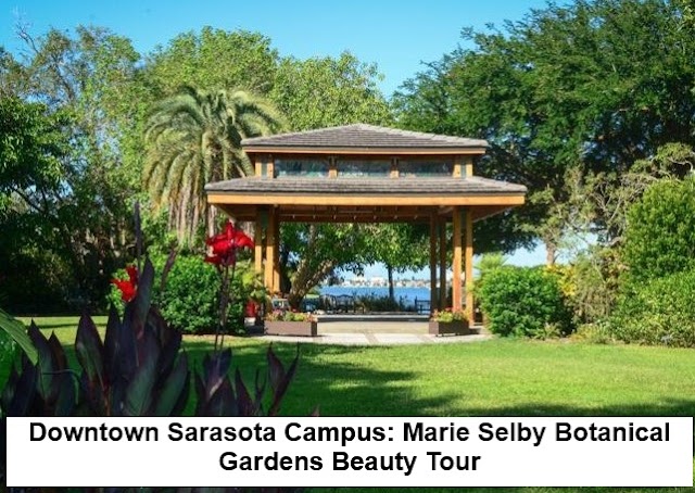 Downtown Sarasota Campus: Marie Selby Botanical Gardens Beauty Tour