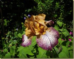 DSCN0603