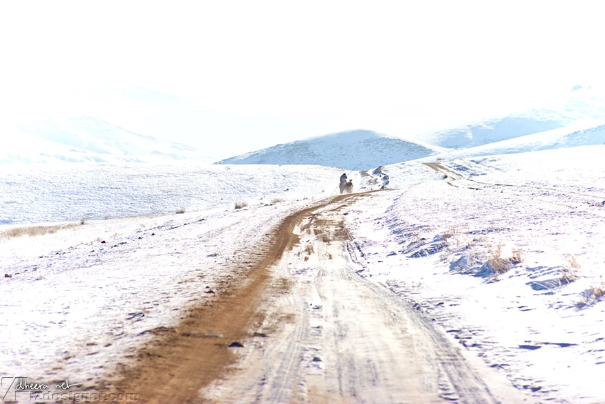 iZdesigner.com - Bộ ảnh đẹp về Mùa Đông ở Mông Cổ