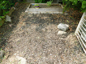 Leslieville Front Garden Cleanup After by Paul Jung Gardening Services--a Toronto Organic Gardening Company