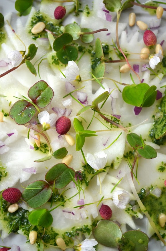 Kohlrabischeiben sind auf einem flachen Teller grauen Teller arrangiert und mit Springkrautsprossen, Fichtenblüten, Sauerklee und Lärchennadeln dekoriert.