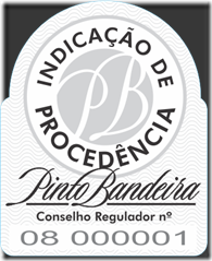 pintobandeira_selo
