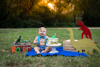 Dinosaur Cake Smash