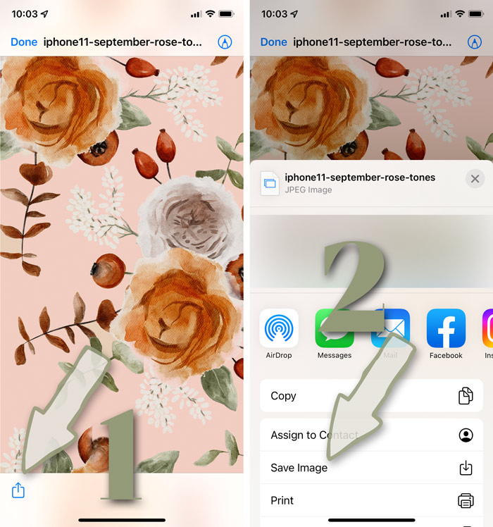 How to Install iPhone Wallpaper