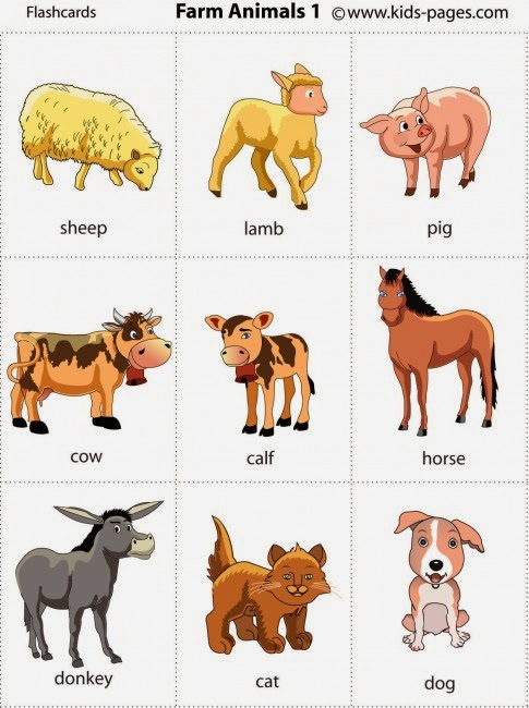 Download Farm Animal Pictures For Kids in high resolution for free ...