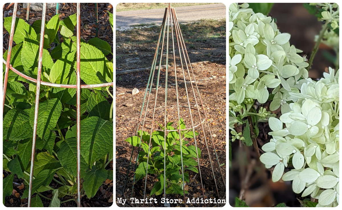 fall planting and garden clean up tips