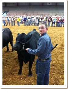 justin with steer