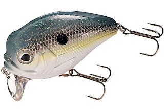 Topwater Reviews: Egg Shaped Wakebaits - 3 Grade A performers offer fish a  breakfast they'll bite on.