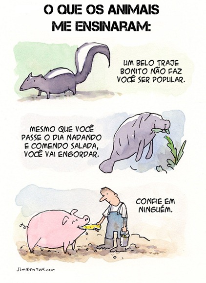 animais