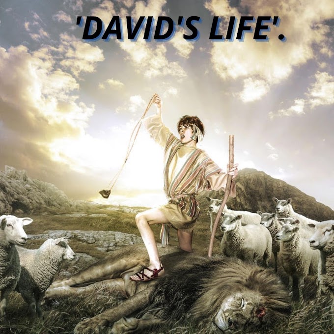 'THE STORY OF DAVID'S LIFE'