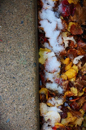 snowfallandleaves