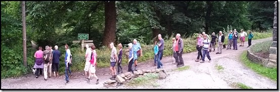 2406group