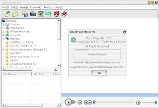 Flash Player Pro