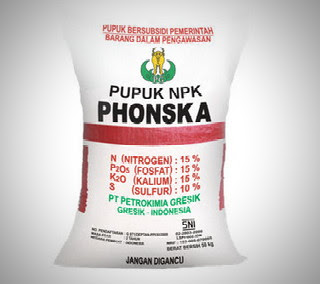 fungsi-pupuk-phonska.jpg