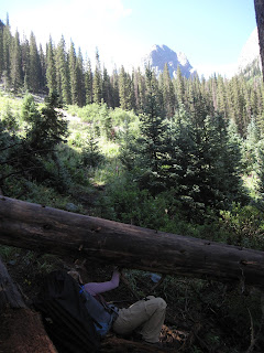 Ducking under logs heading to Vestal Basin