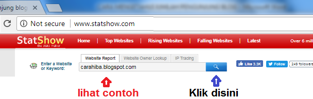 Cara Mengetahui Jumlah Pengunjung Blog (Website) Orang Lain