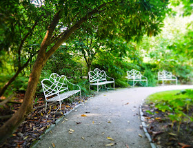 The Lost Gardens of Heligan, Cornwall - benches