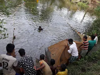 Bangladeshi Fish Photo