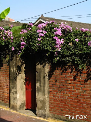 台南美食餐廳 成大十八巷餐廳